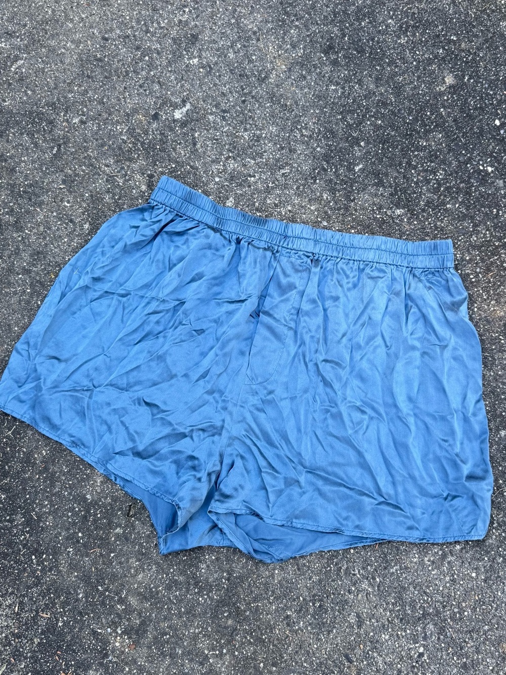ADDICTION 100% Silk Elastic Waist Pull-On Shorts Blue Size Large